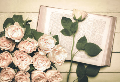 High angle view of roses and book on table