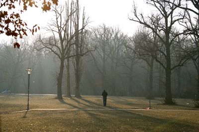 Man walking on road by bare trees against sky