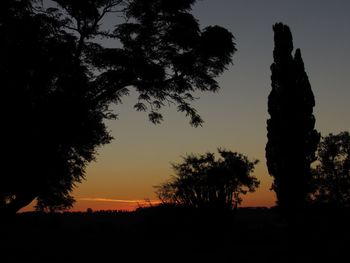 Silhouette trees on field against sky during sunset