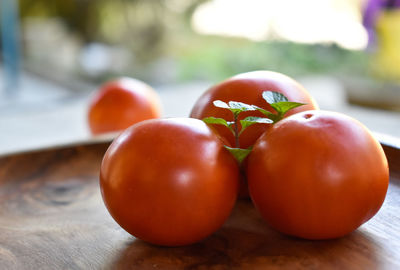 Close-up of tomatoes on table