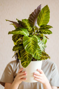 A young woman with dark hair in a green t-shirt in her hands a calathea flower in a white pot.