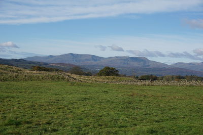 Scenic view of field against sky