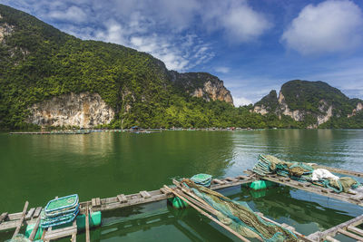 Baskets of seaweed, bunch of grapes, ao luek, krabi, thailand