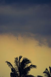 Low angle view of palm tree against sky at sunset