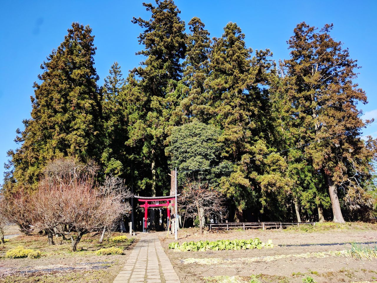 熊野神社