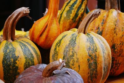 Close-up of pumpkin for sale in market