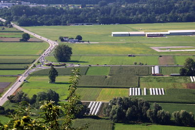 High angle view of agricultural field