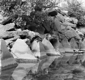 Close-up of rocks