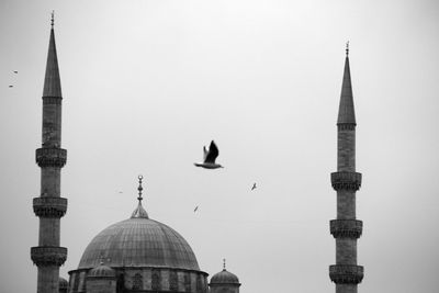 Seagull between two minarets