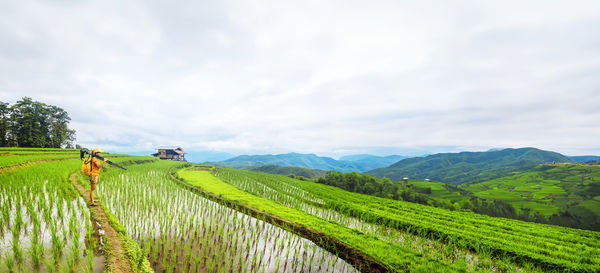 Scenic view of agricultural field against sky