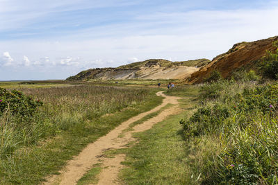 Scenic view of road passing through field against sky
