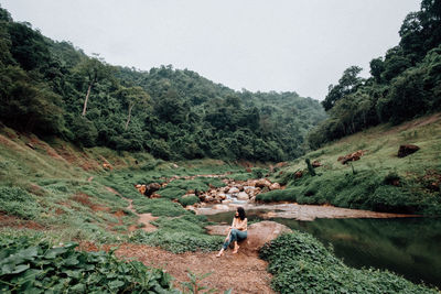 Scenic view of forest against sky