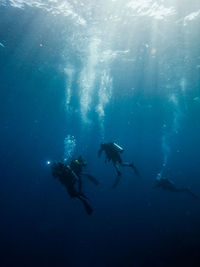 People swimming in sea