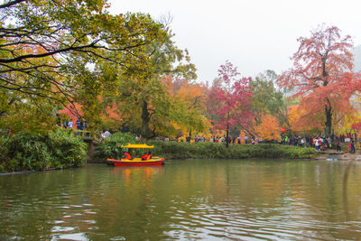 Scenic view of red and trees against sky