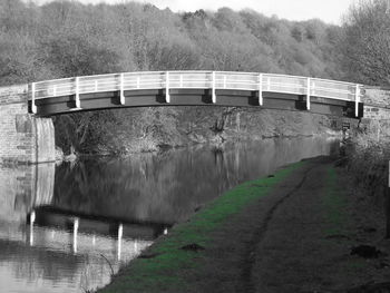 River with trees in background