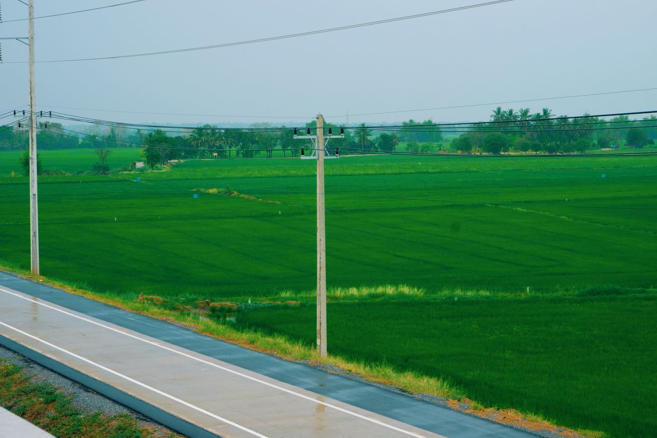 SCENIC VIEW OF LANDSCAPE