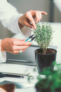 Midsection of female scientist cutting potted plant in laboratory