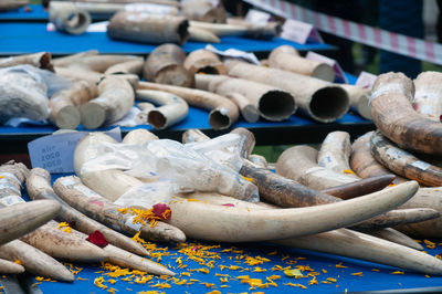 Close-up of shells for sale at market stall