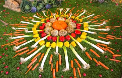 High angle view of floral pattern made of colorful vegetables on grassy field