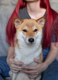 A woman with the red hair, hugs a cute red dog shiba inu, sitting on her lap at home.