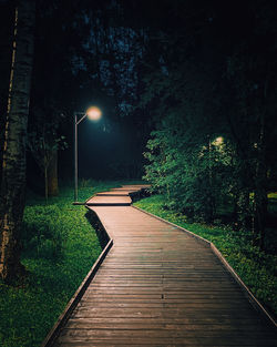 Footpath amidst trees at night