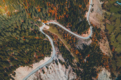 High angle view of road amidst trees