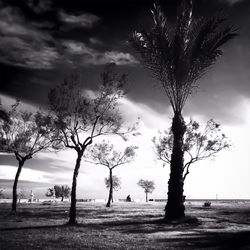 Trees on landscape against cloudy sky