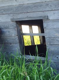 Close-up of abandoned window