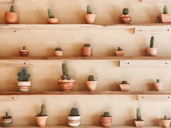 Full frame shot of potted plants