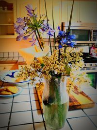 Potted plants in pot