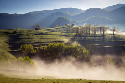 Scenic view of waterfall on field against mountains