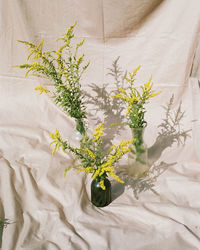 Goldenrod flowers in vases 