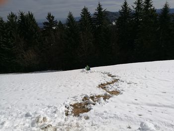 High angle view of boys playing on snow covered land against forest