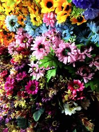 Full frame shot of pink flowers