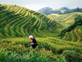 Woman working on rice field against sky