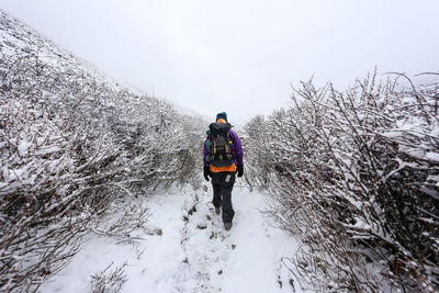 Rear view of person walking on snow covered landscape against sky