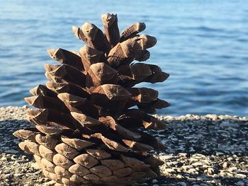 Stack of rocks on shore