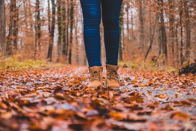 Low section of woman standing on fallen leaves in forest