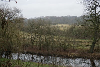 Scenic view of river in forest against sky