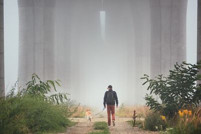Rear view of young man walking with dog during foggy weather
