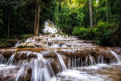 Scenic view of waterfall in forest