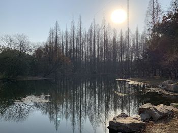 Scenic view of lake in forest against sky