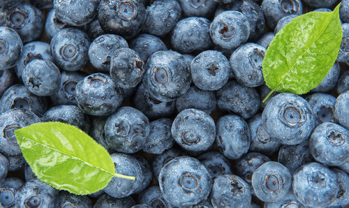 Full frame shot of blueberries