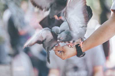 Close-up of hand holding bird flying