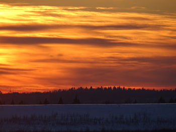 Silhouette trees on landscape against orange sky