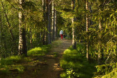 Rear view of woman walking on footpath in forest
