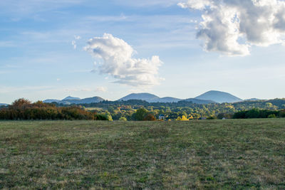 Scenic view of field against sky