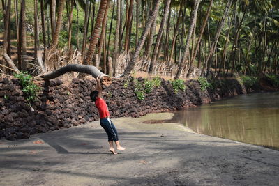 Woman standing by tree in forest