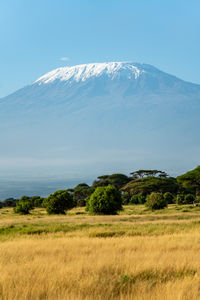 Scenic view of landscape against sky