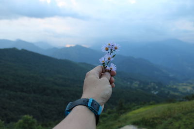 Cropped hand of person holding flowers against mountain